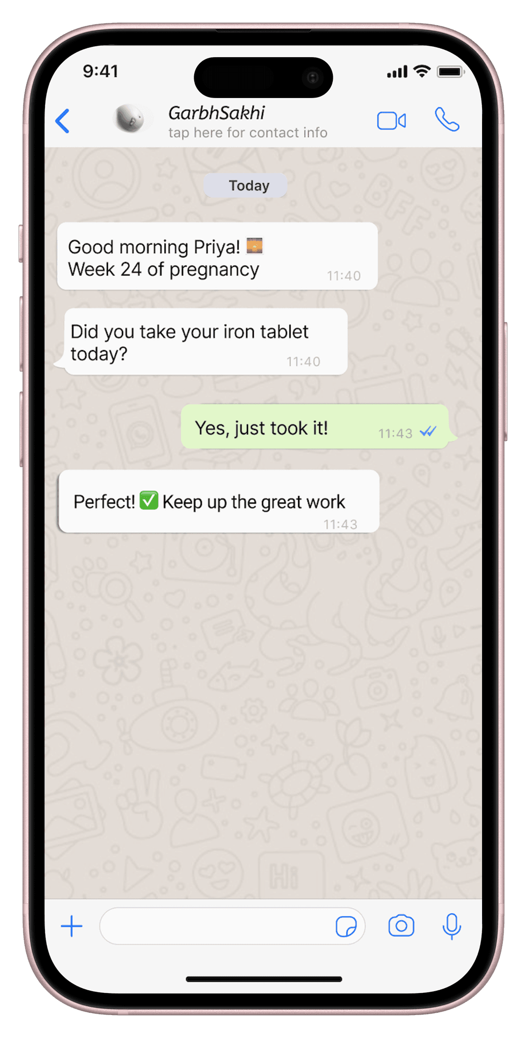 GarbhSakhi WhatsApp Mockup